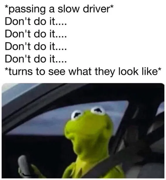 1753913336807.png
