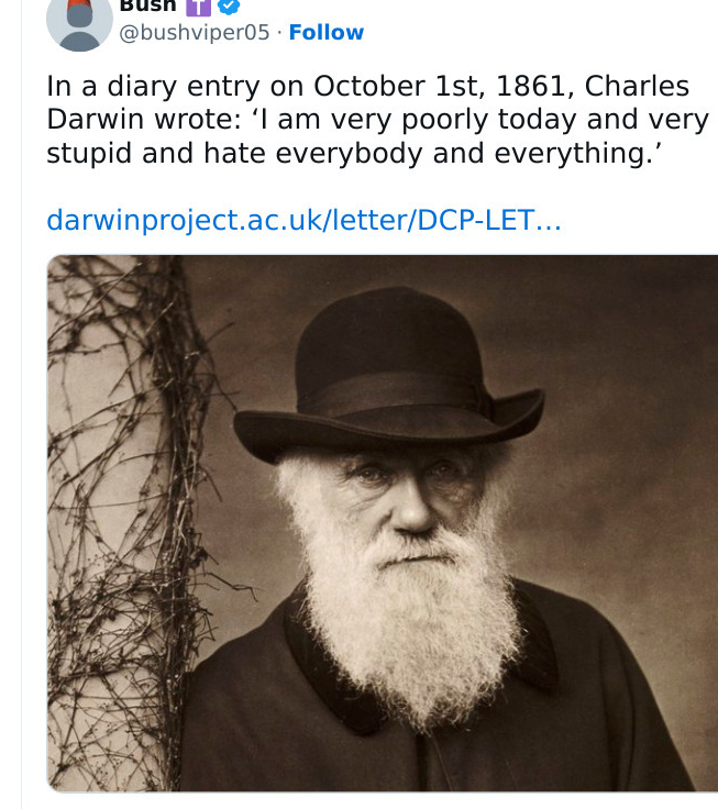 1753926038854.png