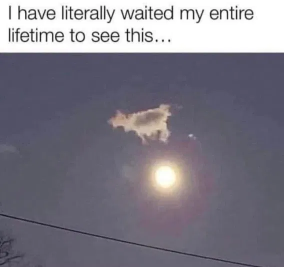 1753984146887.png