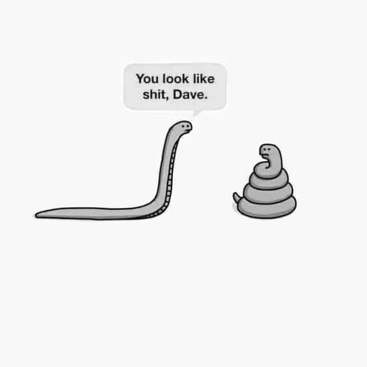 1755036263102.png