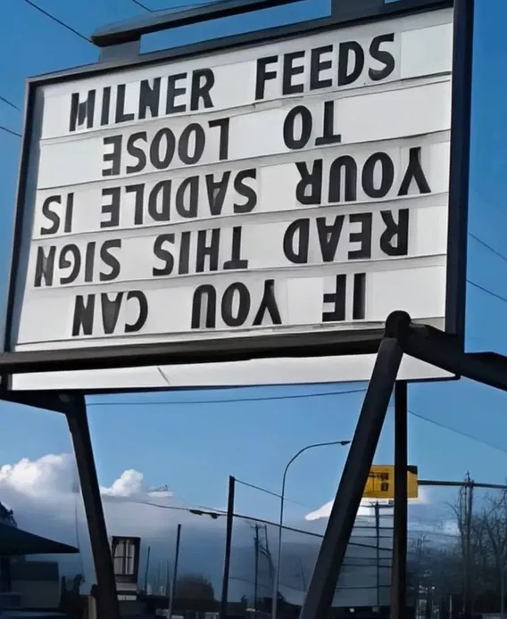 1756409660497.png