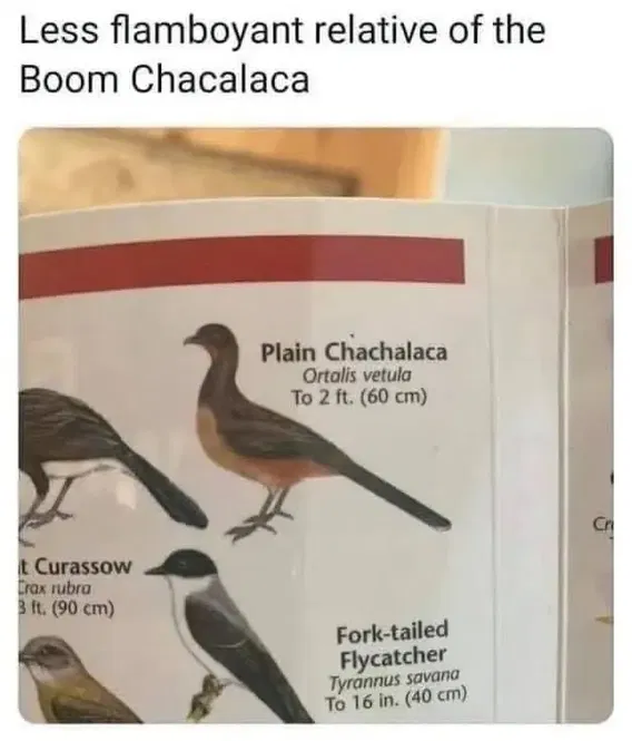 1758581975709.png
