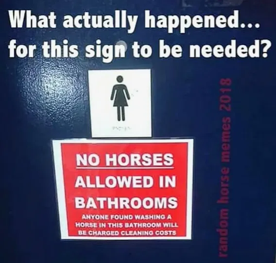 1758751822391.png
