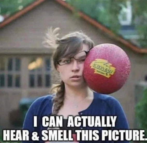 1777503139276.png