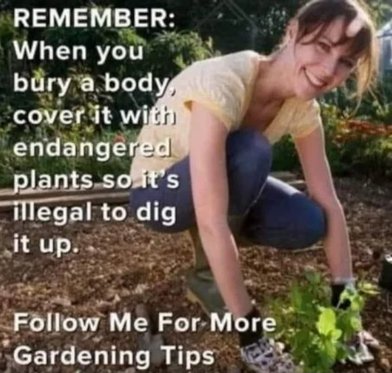 1779391676335.png