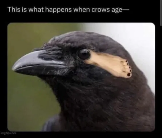 1780442526388.png