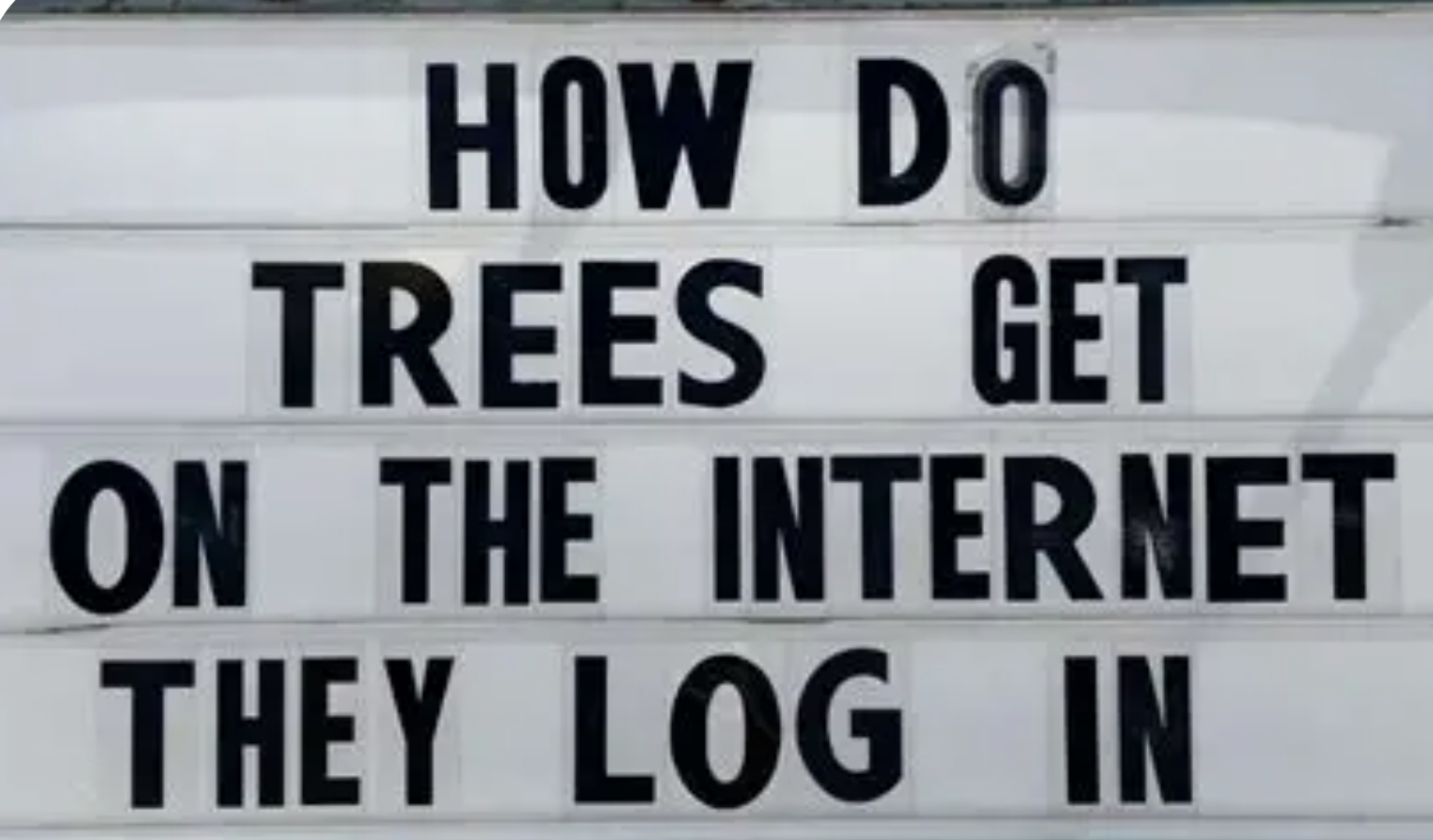 1780798043845.png