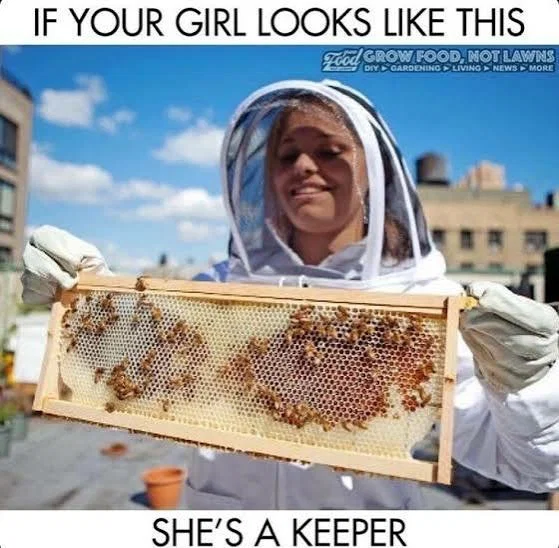 1784742203530.png