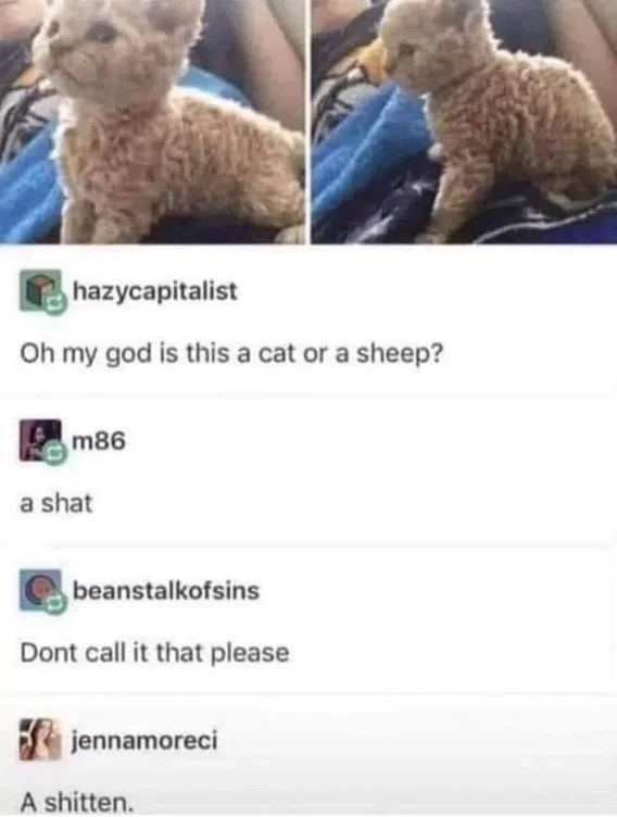 1786145549605.png