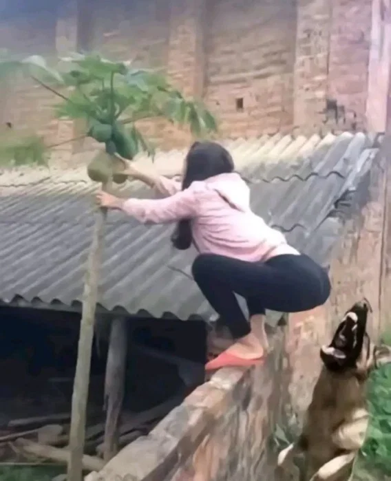 1787176712532.png