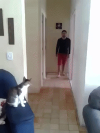 200w.gif