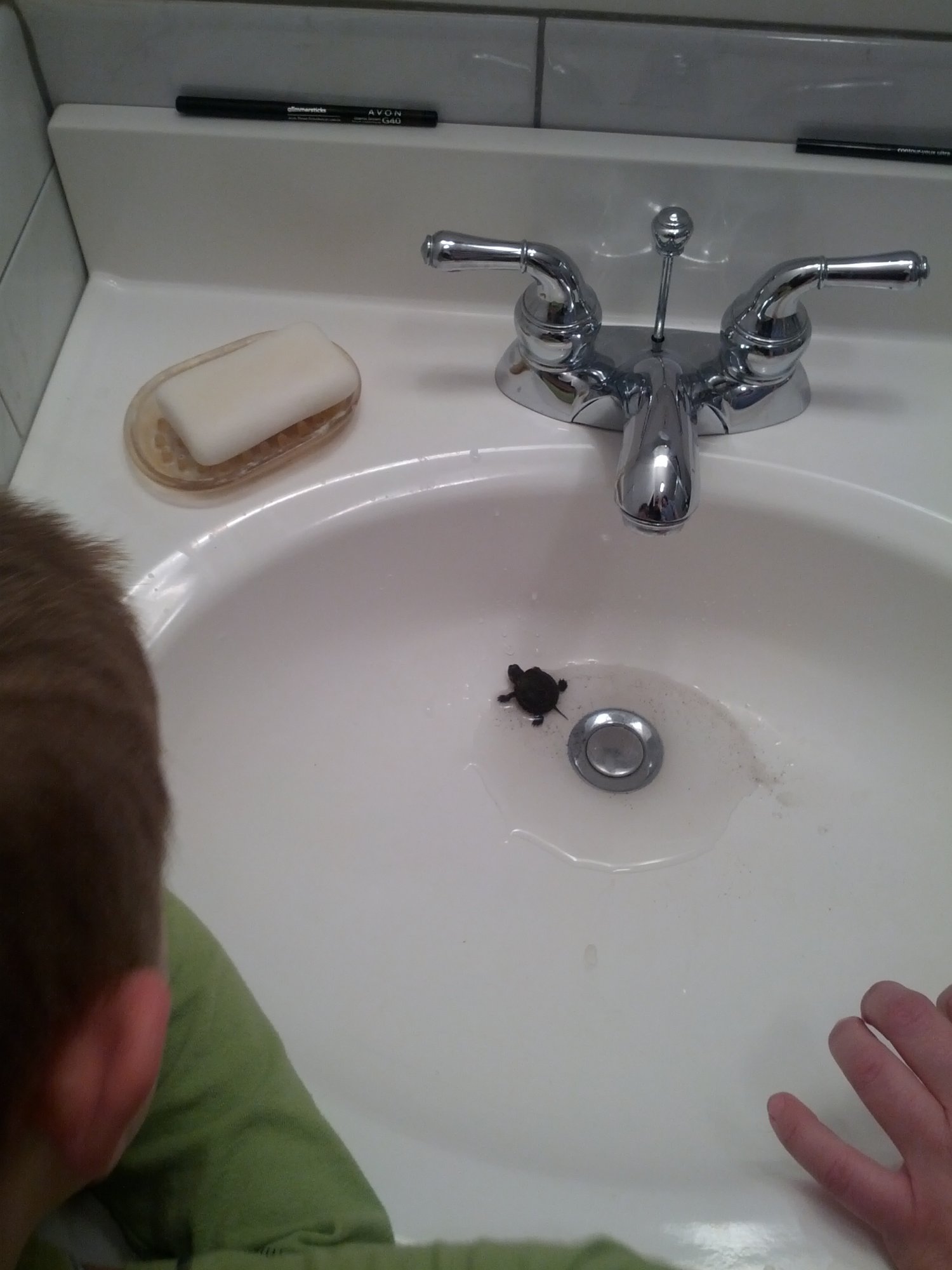 2013-04-18 15.25.18.jpg