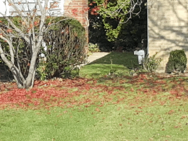 20151111_111418.gif