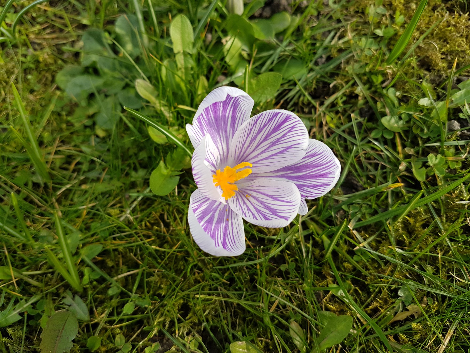 20160313_135325.jpg
