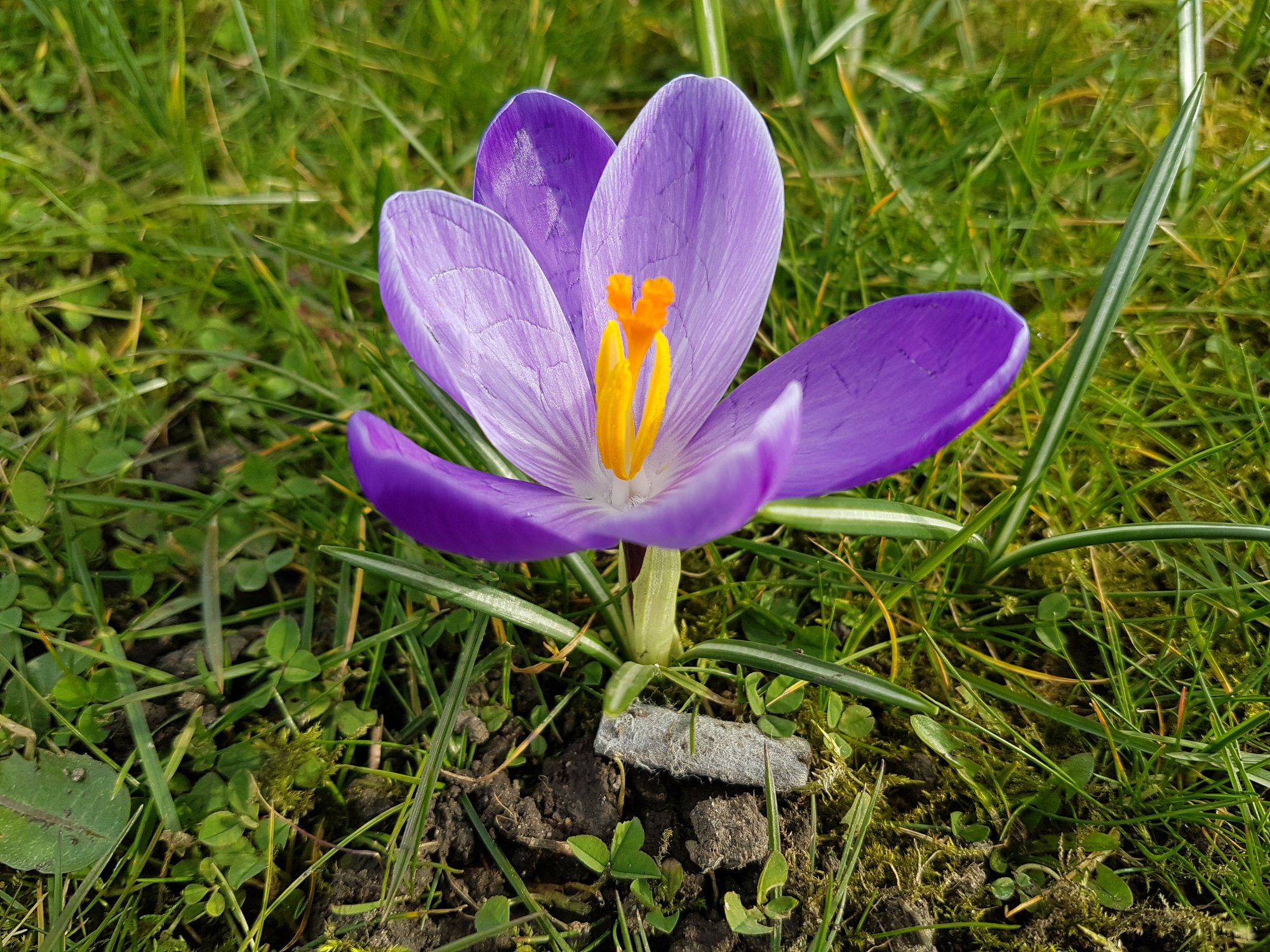 20160313_135328.jpg