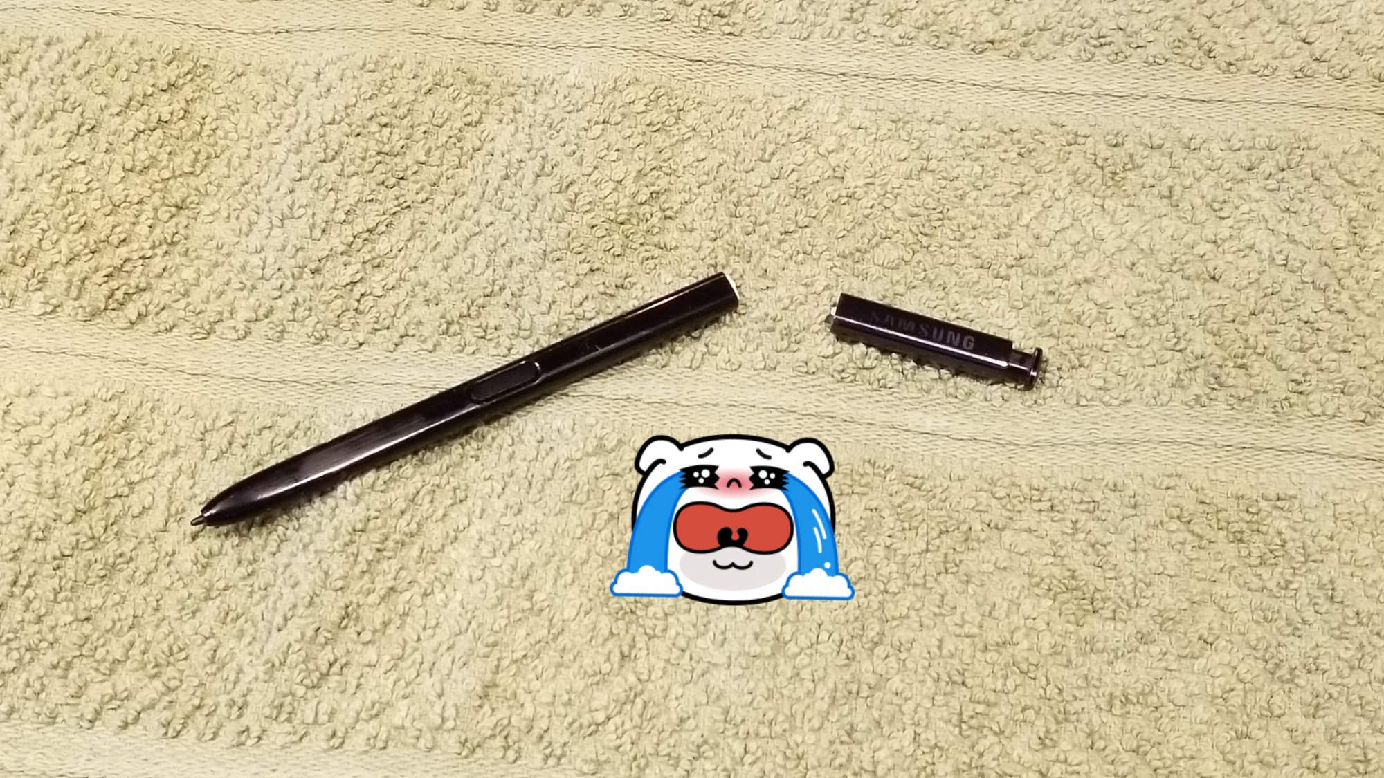 20180318_140436.jpg