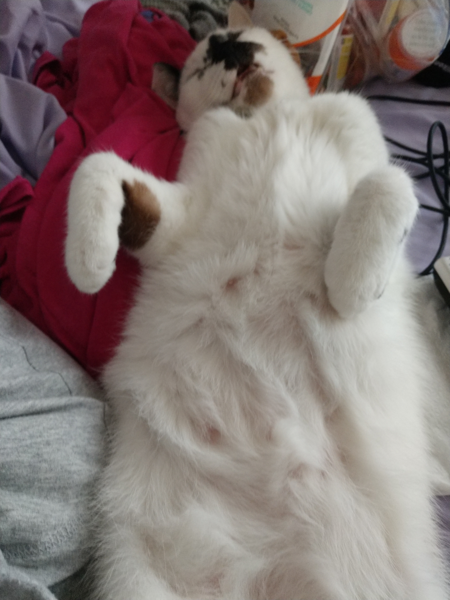 20190904_140339x.jpg