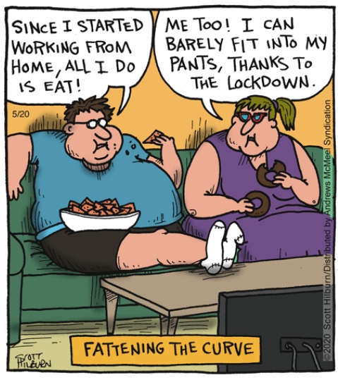 2020-05-20 fattening curve.jpg