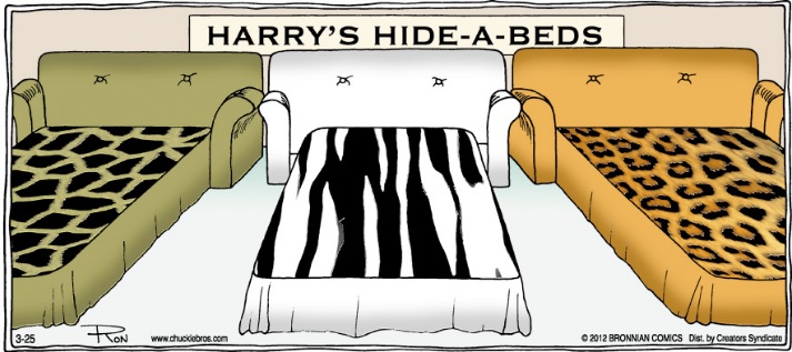 2021-03-05 hide a bed.jpg