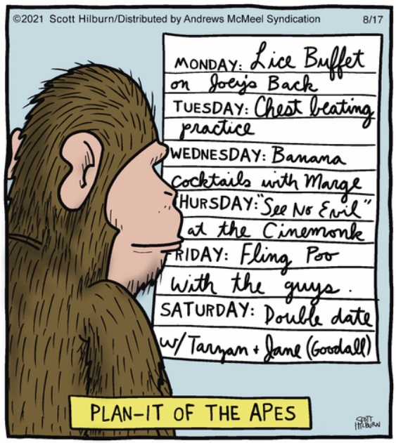 2021-08-17 plan-it apes.jpg