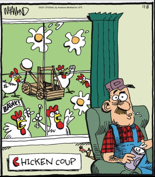 2021-11-08 chicken coup.jpg