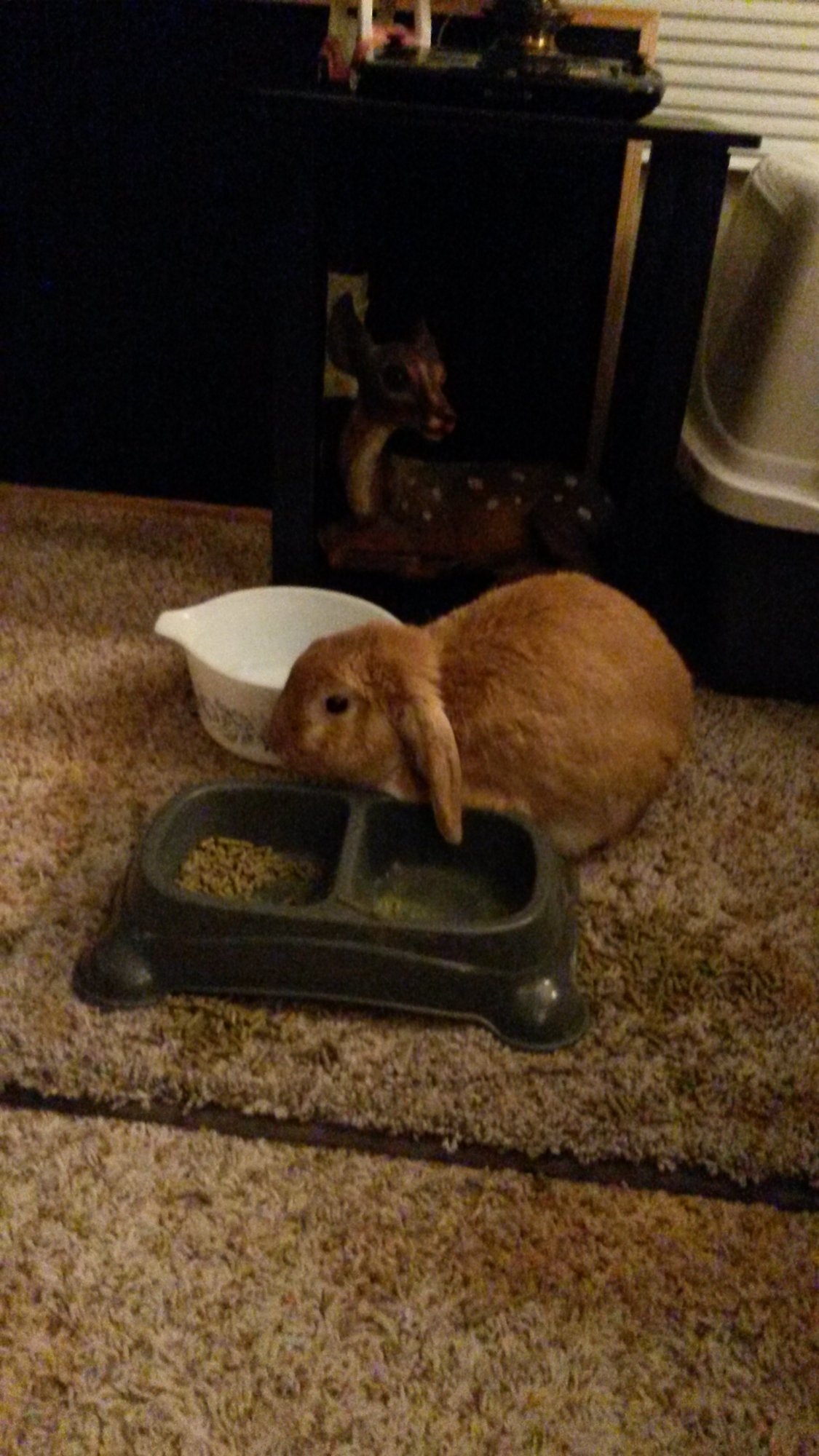 20230130_214514.jpg