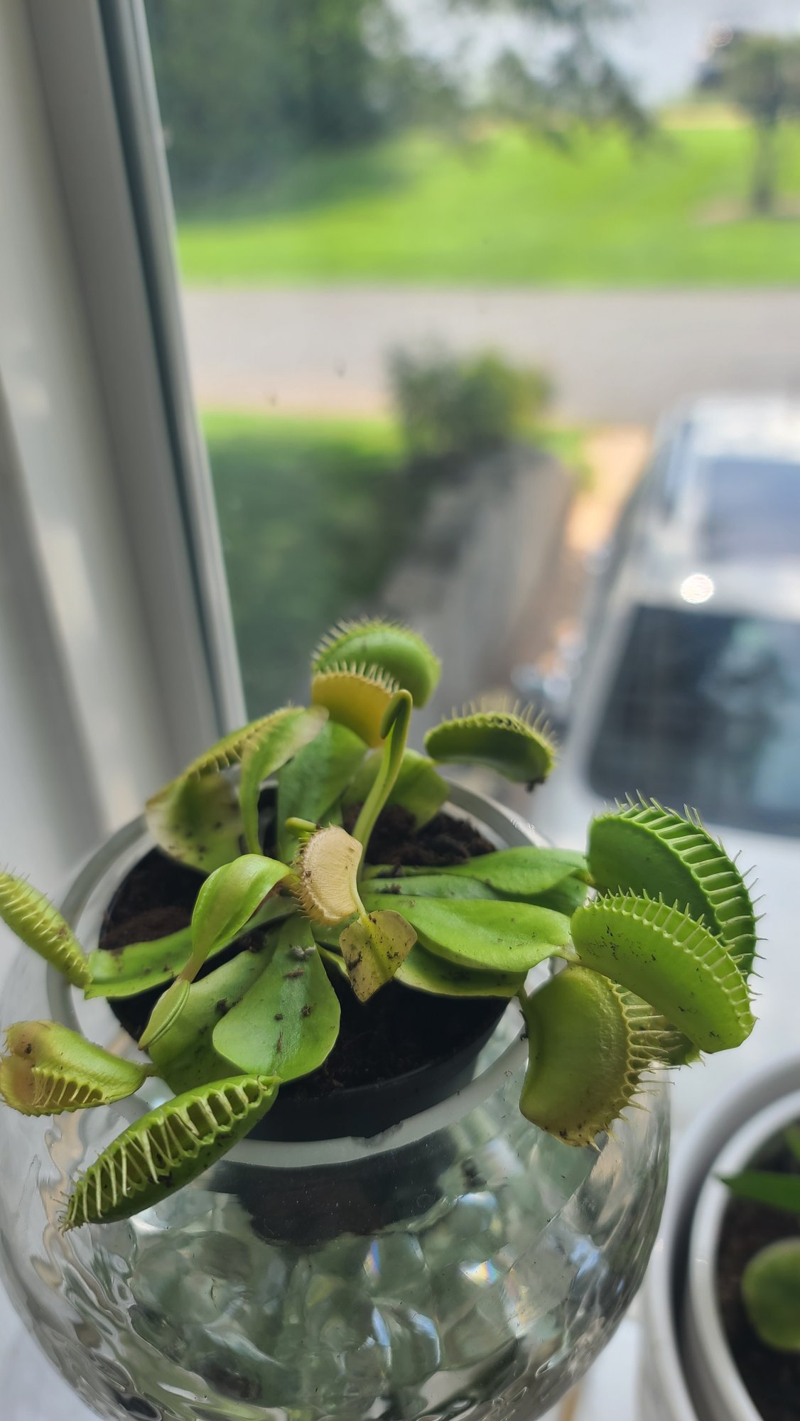 20230729_113010.jpg