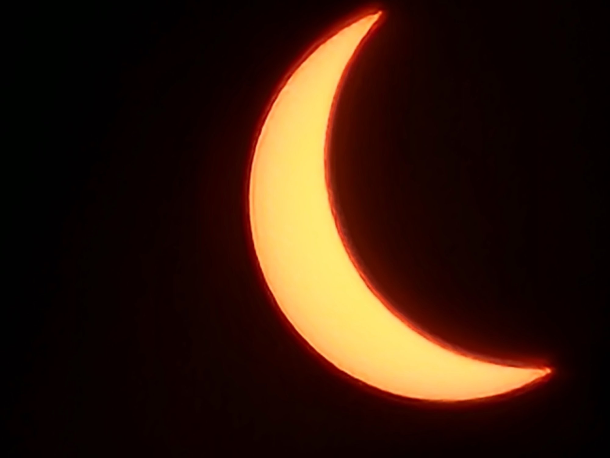 20240408_152131.jpg