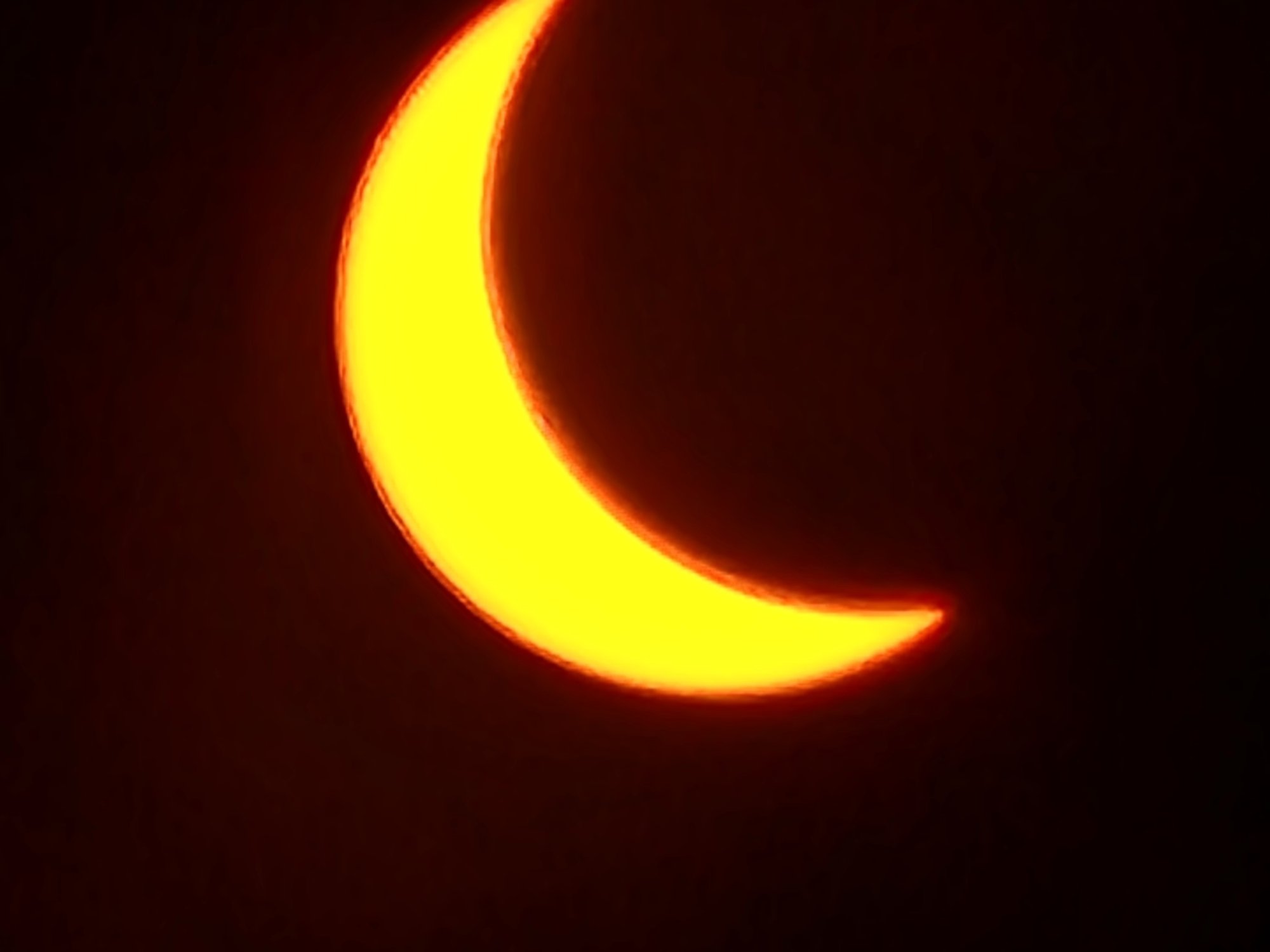 20240408_152229.jpg