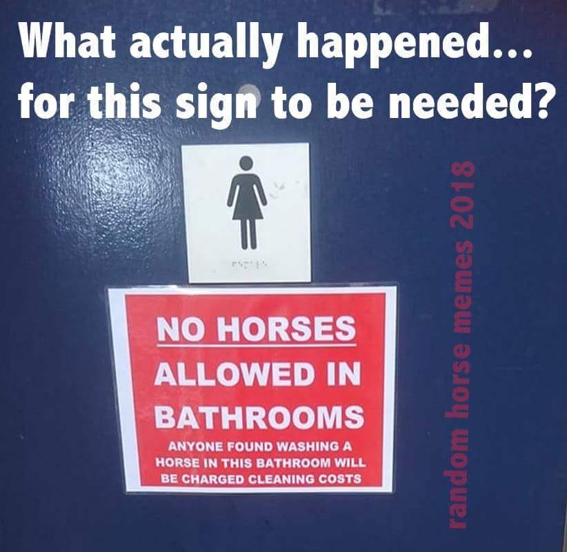 37349410_horses_n.jpg