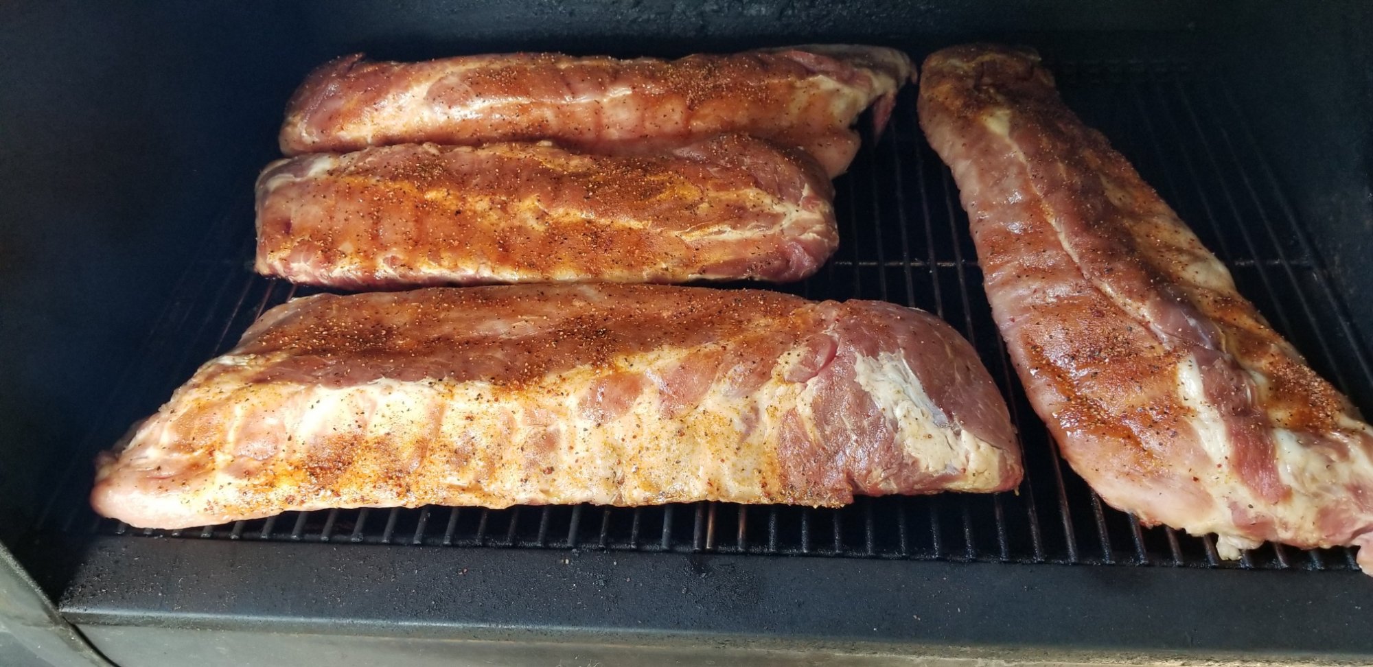 4 Ribs.jpg