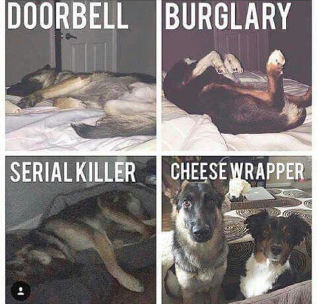4dZ1I7A.jpg