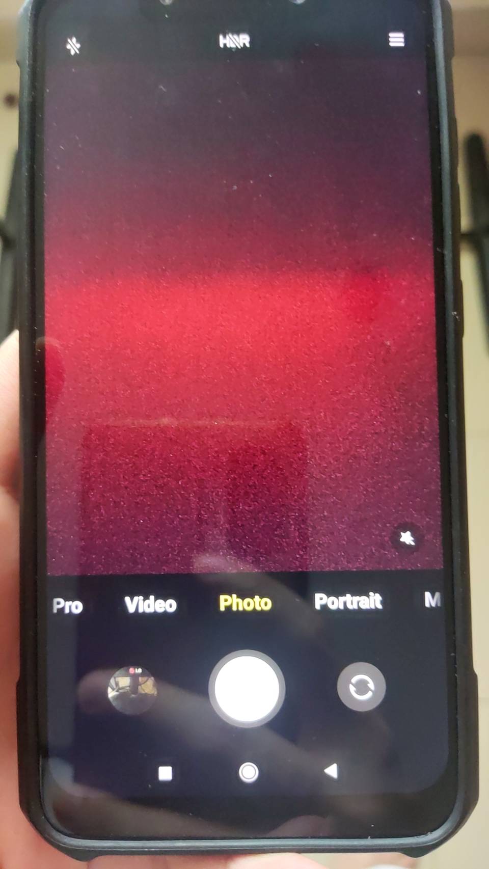 629477.jpg