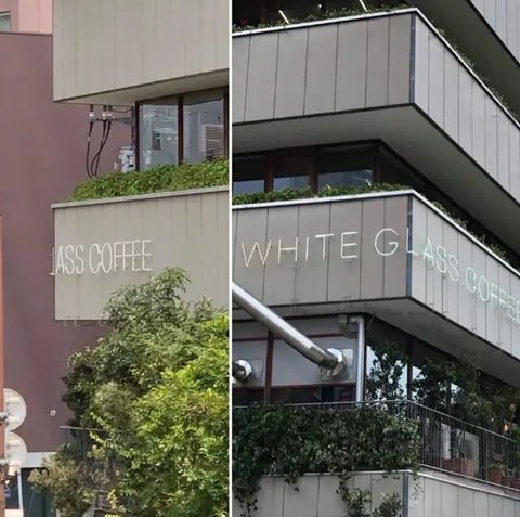 773.jpg