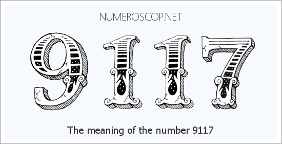 9117.png