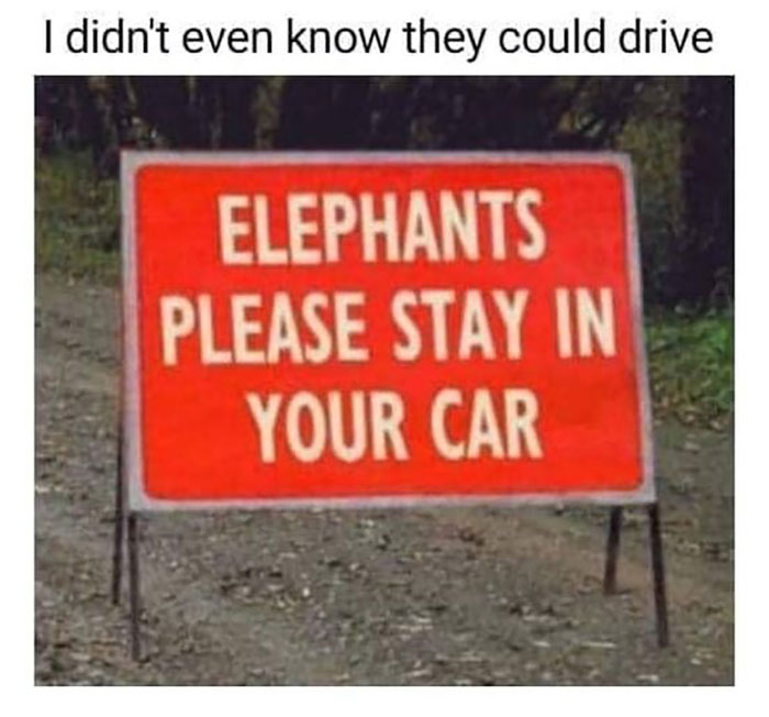 _Elephants.jpg