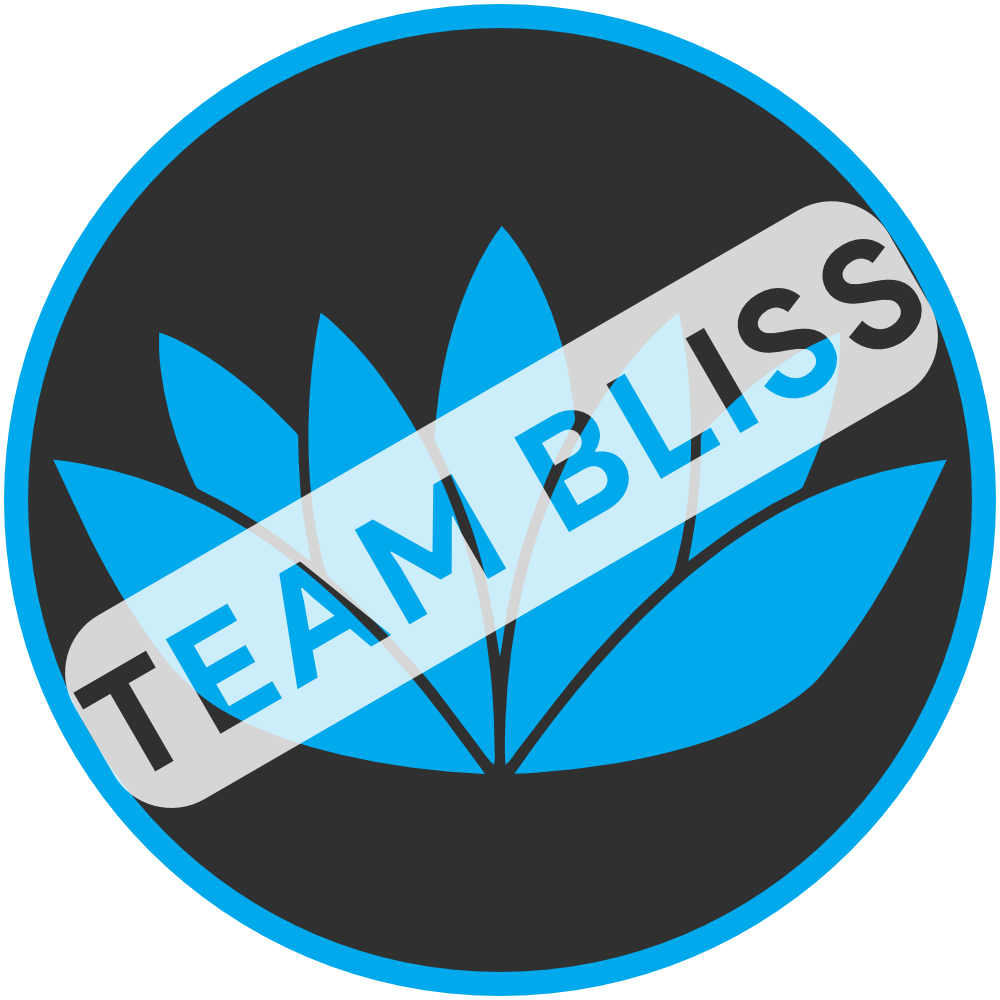 _team_bliss_2.png