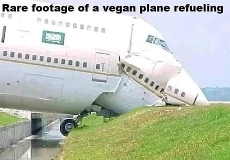aA0OLR0_460swp-01.jpeg