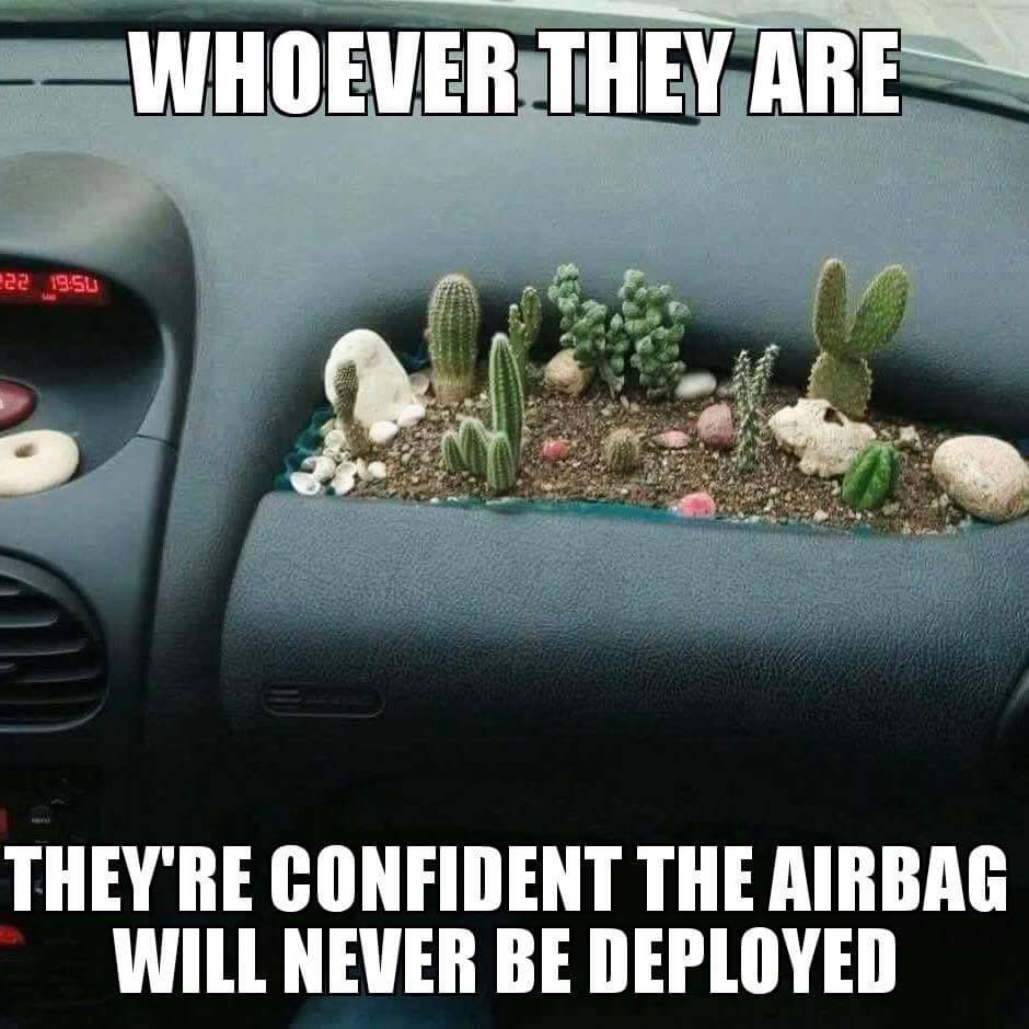 AirbagCacti.jpg