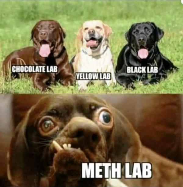 alab.jpg