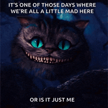 alice-in-wonderland-cheshire-cat.gif