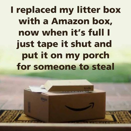 amazonlitterbox.jpg