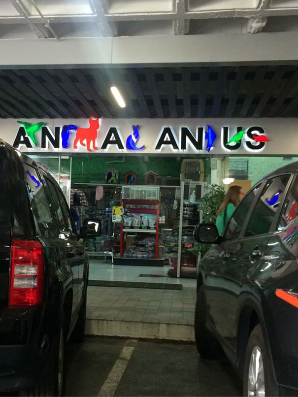 animal and.jpg