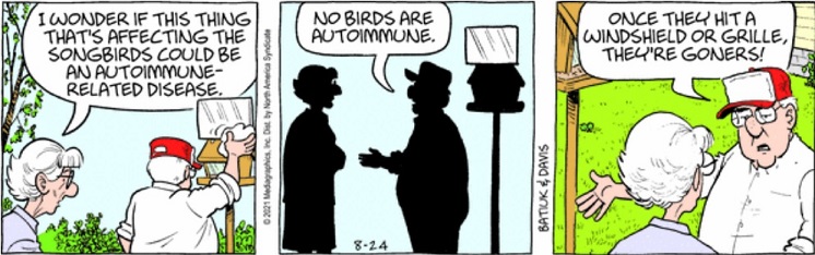 -  auto immune.jpg