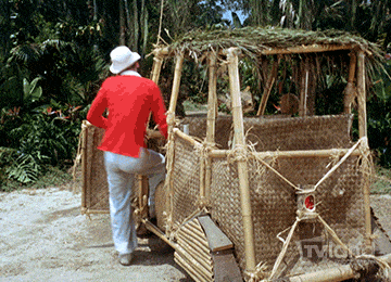 bamboocar.gif