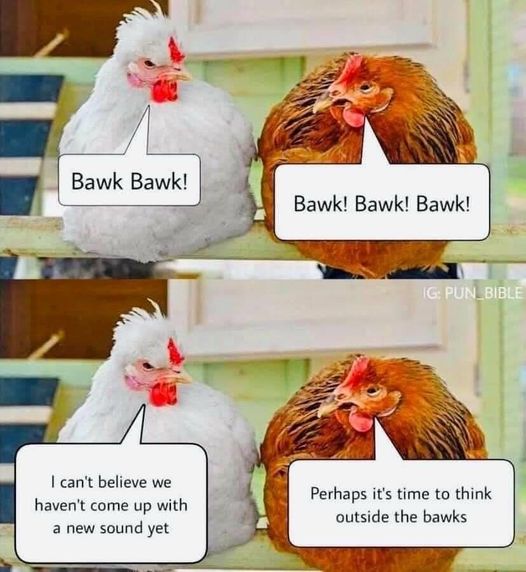 bawks.jpg