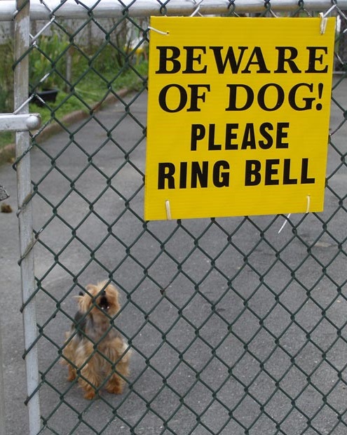 beware of dog.jpg