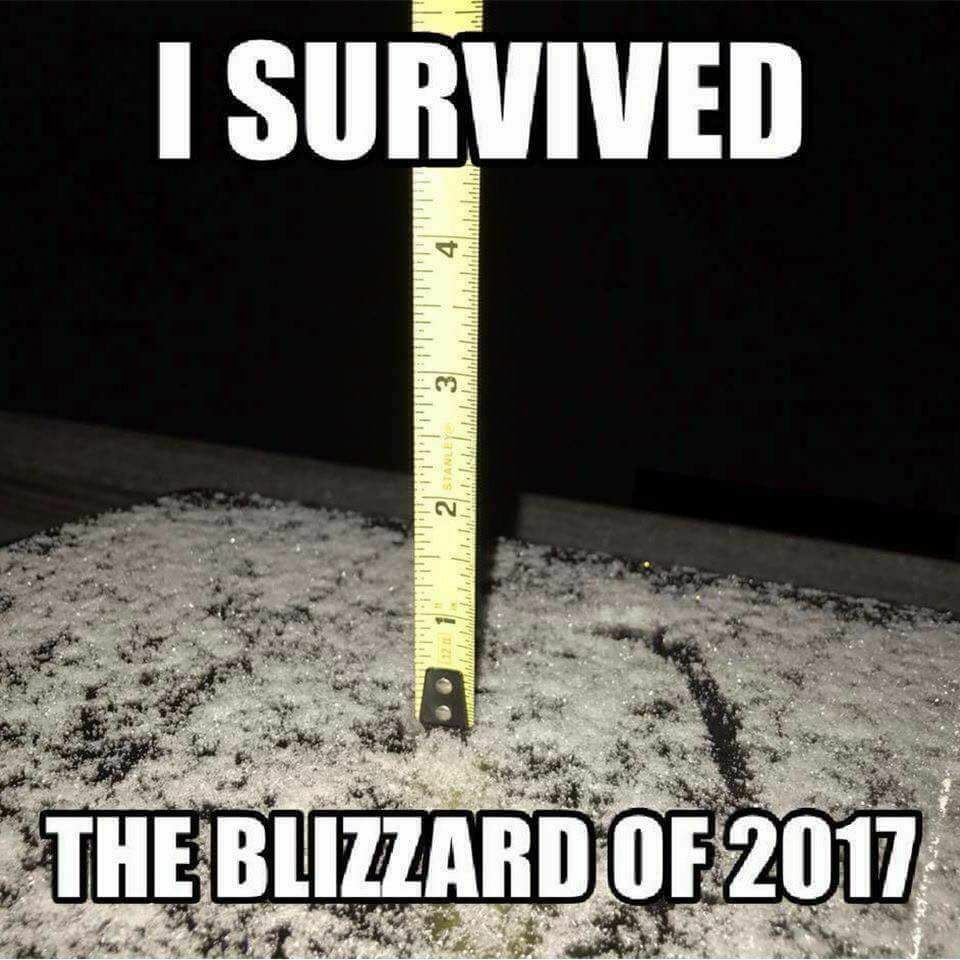 blizzard.jpg