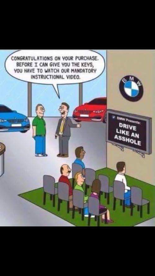 bmw_vid.jpg