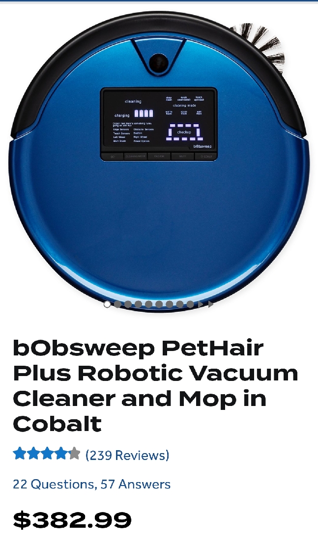 Bob_vacuum.jpg